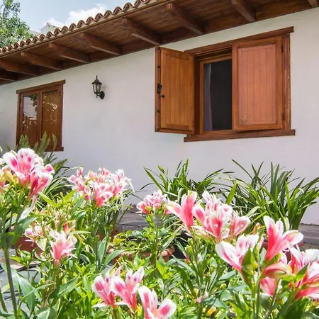 Cozy House Casa Vero Mai Icod De Los Vinos Exterior photo
