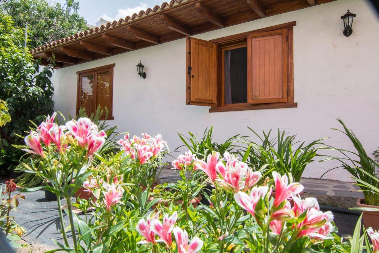 Cozy House Casa Vero Mai Icod De Vinos Holiday home *